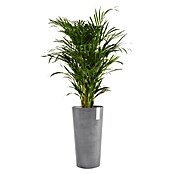 Ecopots Amsterdam Pflanzsäule rund High (Außenmaß (Ø x H): 49,8 x 91 cm, Kunststoff, Grau) | BAUHAUS