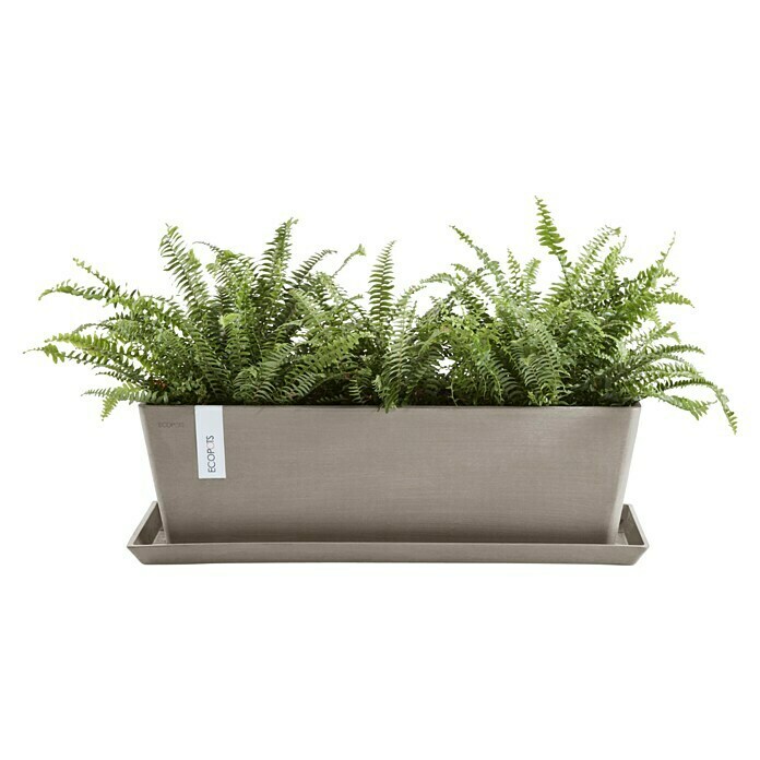 Ecopots Bruges Pflanzkasten mit Wasserreservoir (Außenmaß (L x B x H): 55,3 x 16,5 x 17,5 cm, Kunststoff, Braungrau) | BAUHAUS