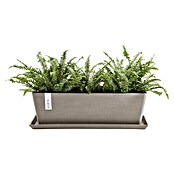 Ecopots Bruges Pflanzkasten mit Wasserreservoir (Außenmaß (L x B x H): 55,3 x 16,5 x 17,5 cm, Kunststoff, Braungrau) | BAUHAUS