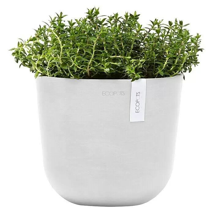 Ecopots Oslo Pflanztopf Mini - Außenmaß (Ø x H): 19 x 16,5 cm, Kunststoff, Weiß - Heller, grauer ECOPOTS Pflanztopf mit üppigen grünen Kräutern.