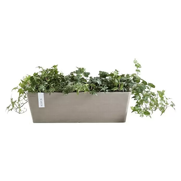Ecopots Bruges Pflanzkasten mit Wasserreservoir - Außenmaß (L x B x H): 55,3 x 16,5 x 17,5 cm, Kunststoff, Braungrau - Beigefarbener rechteckiger Pflanzkübel mit grünem Efeu.
