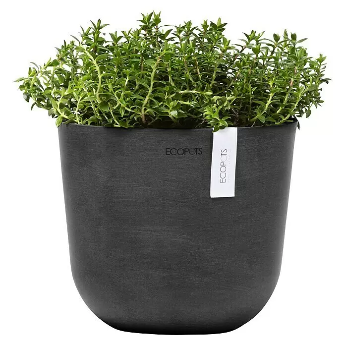 Ecopots Oslo Pflanztopf Mini - Außenmaß (Ø x H): 19 x 16,5 cm, Kunststoff, Dunkelgrau - Dunkelgrauer ECOPOTS Pflanztopf mit einer leuchtend grünen Kräuterpflanze.
