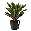 Ecopots Oslo Pflanztopf mit Wasserspeicher (Außenmaß (Ø x H): 25 x 21,4 cm, Kunststoff, Dunkelgrau) | BAUHAUS