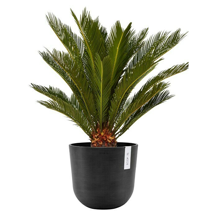 Ecopots Oslo Pflanztopf mit Wasserspeicher (Außenmaß (Ø x H): 25 x 21,4 cm, Kunststoff, Dunkelgrau) | BAUHAUS