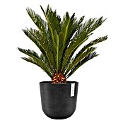 Ecopots Oslo Pflanztopf mit Wasserspeicher (Außenmaß (Ø x H): 25 x 21,4 cm, Kunststoff, Dunkelgrau) | BAUHAUS