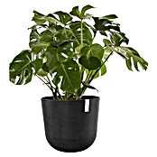 Ecopots Oslo Pflanztopf mit Wasserspeicher (Außenmaß (Ø x H): 55 x 48,5 cm, Kunststoff, Dunkelgrau) | BAUHAUS