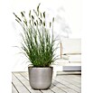 Ecopots Oslo Pflanztopf mit Wasserspeicher (Außenmaß (Ø x H): 35 x 40,5 cm, Kunststoff, Braungrau) | BAUHAUS
