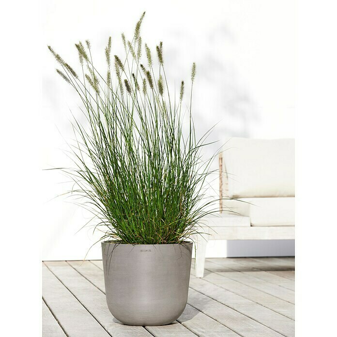 Ecopots Oslo Pflanztopf mit Wasserspeicher (Außenmaß (Ø x H): 35 x 40,5 cm, Kunststoff, Braungrau) | BAUHAUS
