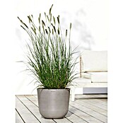 Ecopots Oslo Pflanztopf mit Wasserspeicher (Außenmaß (Ø x H): 35 x 40,5 cm, Kunststoff, Braungrau) | BAUHAUS