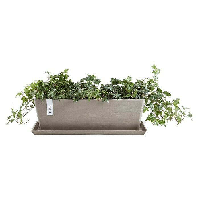 Ecopots Bruges Pflanzkasten mit Wasserreservoir (Außenmaß (L x B x H): 55,3 x 16,5 x 17,5 cm, Kunststoff, Braungrau) | BAUHAUS