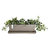 Ecopots Bruges Pflanzkasten mit Wasserreservoir (Außenmaß (L x B x H): 55,3 x 16,5 x 17,5 cm, Kunststoff, Braungrau) | BAUHAUS