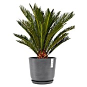 Ecopots Oslo Pflanztopf mit Wasserspeicher (Außenmaß (Ø x H): 25 x 21,8 cm, Kunststoff, Grau) | BAUHAUS