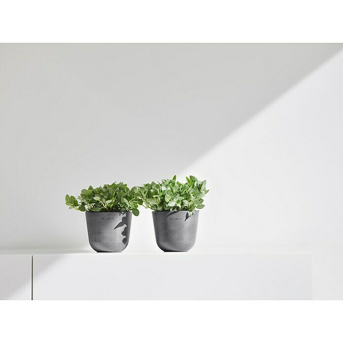 Ecopots Oslo Pflanztopf Mini (Außenmaß (Ø x H): 11,5 x 10 cm, Kunststoff, Grau) | BAUHAUS