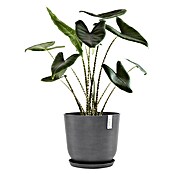 Ecopots Oslo Pflanztopf mit Wasserspeicher (Außenmaß (Ø x H): 45 x 39,2 cm, Kunststoff, Grau) | BAUHAUS