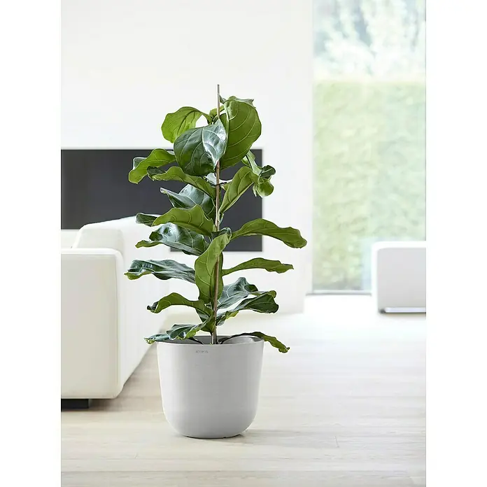 amei pflanztopf XXL Eckiger Blumentopf ab 229