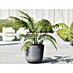 Ecopots Oslo Pflanztopf mit Wasserspeicher (Außenmaß (Ø x H): 35 x 40,5 cm, Kunststoff, Grau) | BAUHAUS