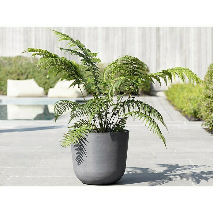 Ecopots Oslo Pflanztopf mit Wasserspeicher (Außenmaß (Ø x H): 35 x 47,9 cm, Kunststoff, Grau) | BAUHAUS