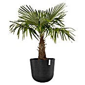 Ecopots Oslo Pflanztopf mit Wasserspeicher (Außenmaß (Ø x H): 55 x 47,9 cm, Kunststoff, Dunkelgrau) | BAUHAUS