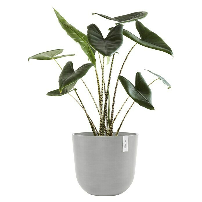 Ecopots Oslo Pflanztopf mit Wasserspeicher (Außenmaß (Ø x H): 45 x 39,4 cm, Kunststoff, Weißgrau) | BAUHAUS