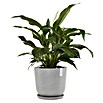 Ecopots Oslo Pflanztopf mit Wasserspeicher (Außenmaß (Ø x H): 45 x 39,4 cm, Kunststoff, Weißgrau) | BAUHAUS