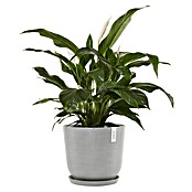 Ecopots Oslo Pflanztopf mit Wasserspeicher (Außenmaß (Ø x H): 45 x 39,2 cm, Kunststoff, Weißgrau) | BAUHAUS