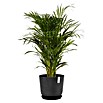 Ecopots Oslo Pflanztopf mit Wasserspeicher (Außenmaß (Ø x H): 35 x 40,5 cm, Kunststoff, Dunkelgrau) | BAUHAUS
