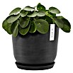 Ecopots Oslo Pflanztopf mit Wasserspeicher (Außenmaß (Ø x H): 25 x 21,4 cm, Kunststoff, Dunkelgrau) | BAUHAUS