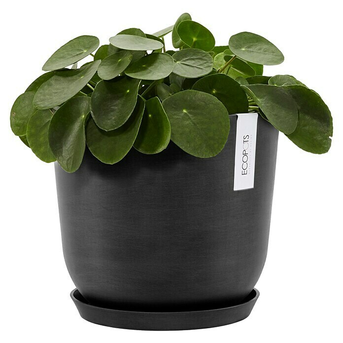 Ecopots Oslo Pflanztopf mit Wasserspeicher (Außenmaß (Ø x H): 25 x 21,4 cm, Kunststoff, Dunkelgrau) | BAUHAUS