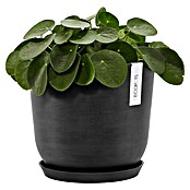 Ecopots Oslo Pflanztopf mit Wasserspeicher (Außenmaß (Ø x H): 25 x 21,4 cm, Kunststoff, Dunkelgrau) | BAUHAUS