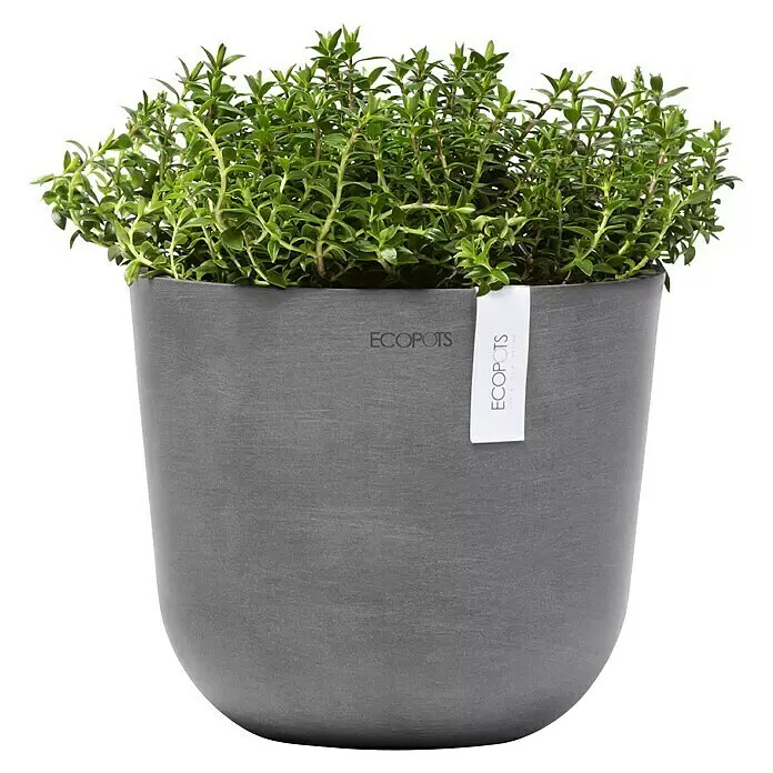 Ecopots Oslo Pflanztopf Mini - Außenmaß (Ø x H): 19 x 16,5 cm, Kunststoff, Grau - Grauer Ecopots Blumentopf mit üppigem grünem Thymian.