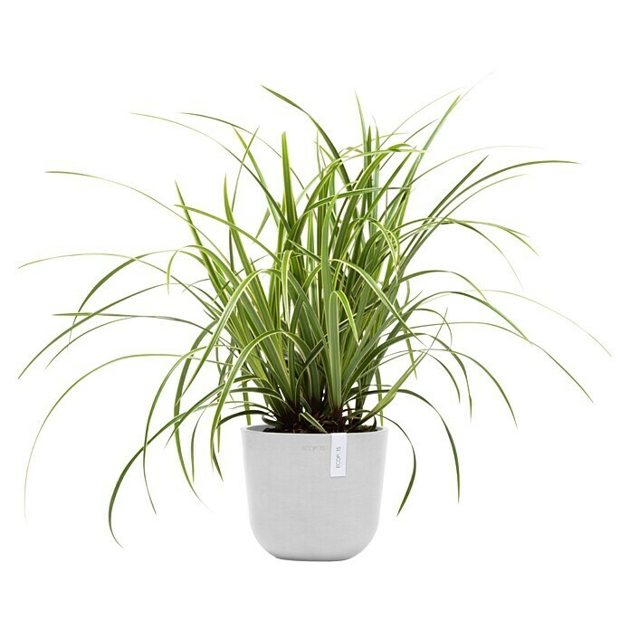 Ecopots Oslo Pflanztopf Mini (Außenmaß (Ø x H): 19 x 16,5 cm, Kunststoff, Weiß) | BAUHAUS