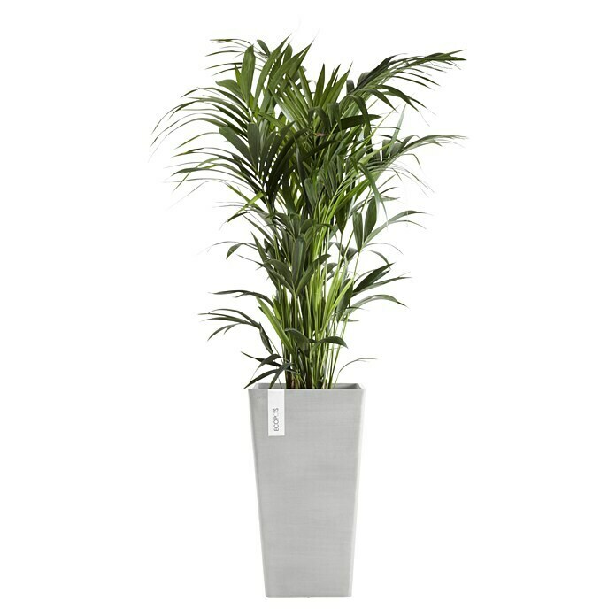 Ecopots Rotterdam Pflanzsäule eckig (Außenmaß (L x B x H): 31 x 31 x 56 cm, Kunststoff, Weiß, Grau) | BAUHAUS