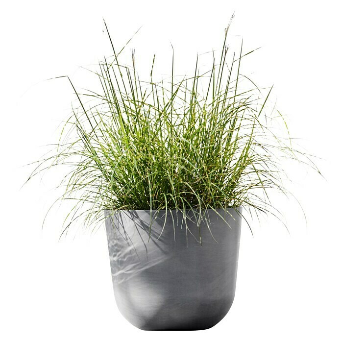 Ecopots Oslo Pflanztopf mit Wasserspeicher (Außenmaß (Ø x H): 45 x 39,4 cm, Kunststoff, Grau) | BAUHAUS