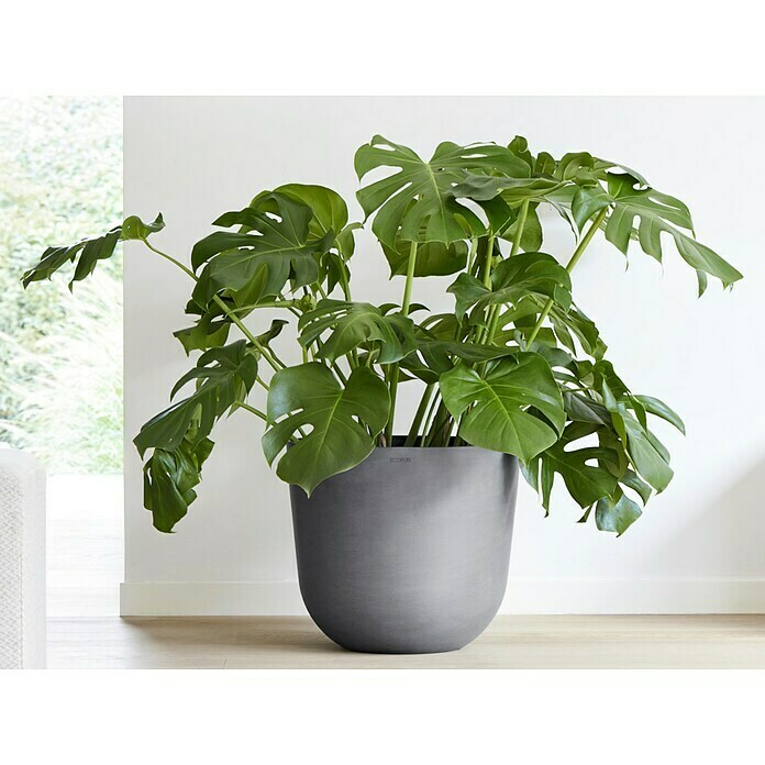 Ecopots Oslo Pflanztopf mit Wasserspeicher (Außenmaß (Ø x H): 45 x 39,2 cm, Kunststoff, Grau) | BAUHAUS