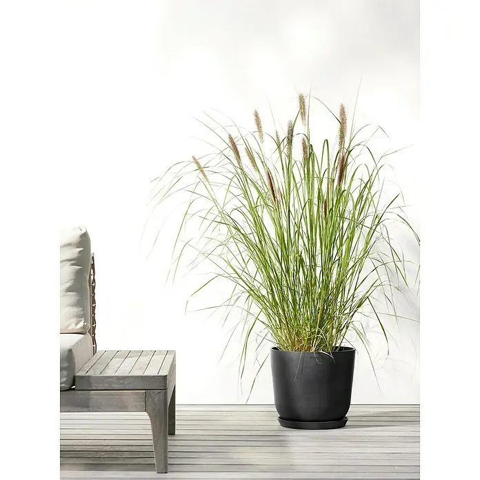 Ecopots Oslo Pflanztopf mit Wasserspeicher - Außenmaß (Ø x H): 25 x 21,4 cm, Kunststoff, Dunkelgrau - Elegante Pflanze in einem stilvollen, mattschwarzen Topf, die eine moderne und natürliche Atmosphäre schafft. Ideal für jeden Außenbereich.
