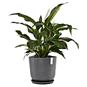 Ecopots Oslo Pflanztopf mit Wasserspeicher (Außenmaß (Ø x H): 45 x 39,4 cm, Kunststoff, Grau) | BAUHAUS