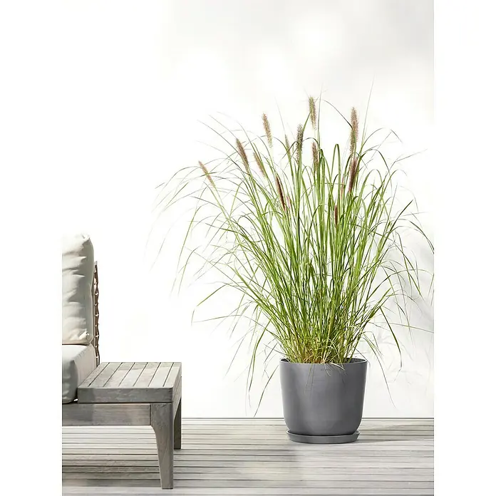Ecopots Oslo Pflanztopf mit Wasserspeicher - Außenmaß (Ø x H): 25 x 21,4 cm, Kunststoff, Grau - Eine graue Pflanztopf mit Ziergras auf einer Terrasse. Der Topf hat eine schlichte, zylindrische Form und passt gut zu modernen Außenbereichen.