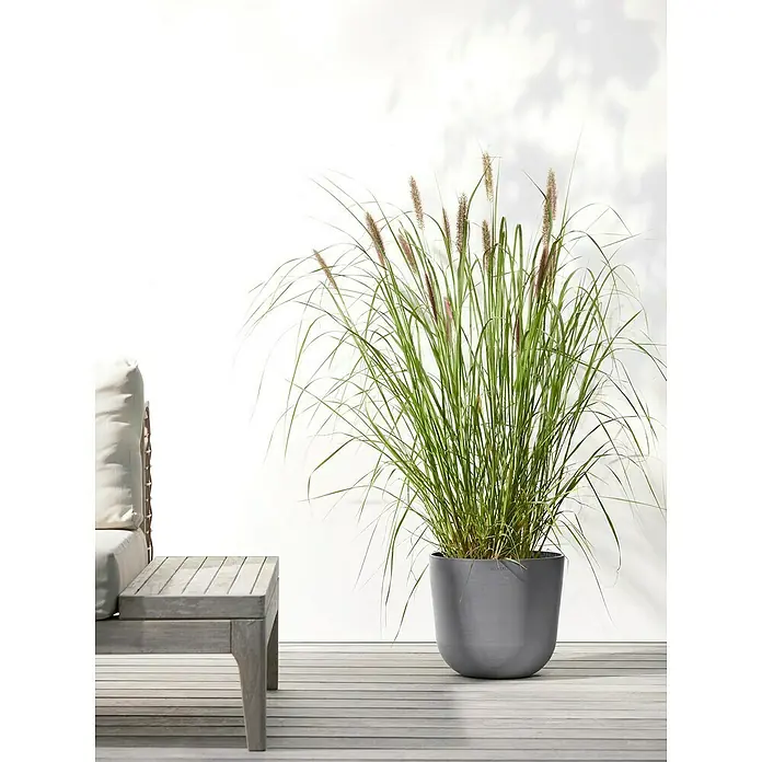 Ecopots Oslo Pflanztopf mit Wasserspeicher - Außenmaß (Ø x H): 25 x 21,4 cm, Kunststoff, Grau - Hohes Ziergras in einem grauen Topf auf einer Terrasse, neben einem hellgrauen Holztisch.