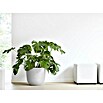 Ecopots Oslo Pflanztopf mit Wasserspeicher (Außenmaß (Ø x H): 45 x 39,4 cm, Kunststoff, Weißgrau) | BAUHAUS