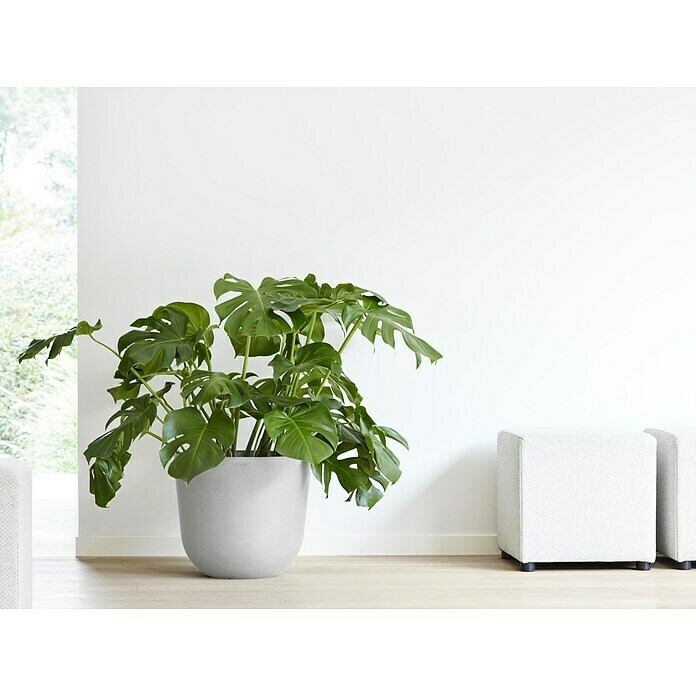 Ecopots Oslo Pflanztopf mit Wasserspeicher (Außenmaß (Ø x H): 45 x 39,4 cm, Kunststoff, Weißgrau) | BAUHAUS