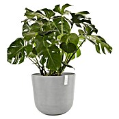 Ecopots Oslo Pflanztopf mit Wasserspeicher (Außenmaß (Ø x H): 55 x 47,9 cm, Kunststoff, Weißgrau) | BAUHAUS