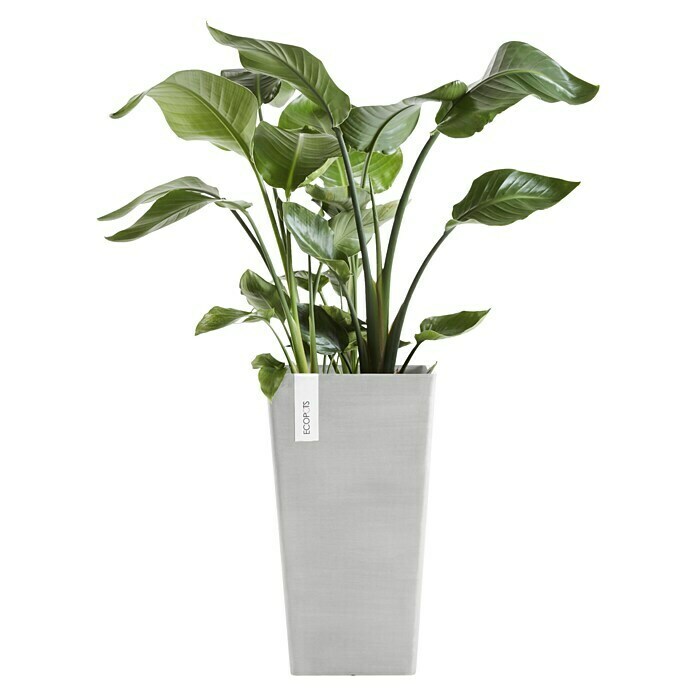 Ecopots Rotterdam Pflanzsäule eckig (Außenmaß (L x B x H): 31 x 31 x 56 cm, Kunststoff, Weiß, Grau) | BAUHAUS