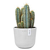 Ecopots Oslo Pflanztopf Mini (Außenmaß (Ø x H): 16 x 14 cm, Kunststoff, Weiß) | BAUHAUS