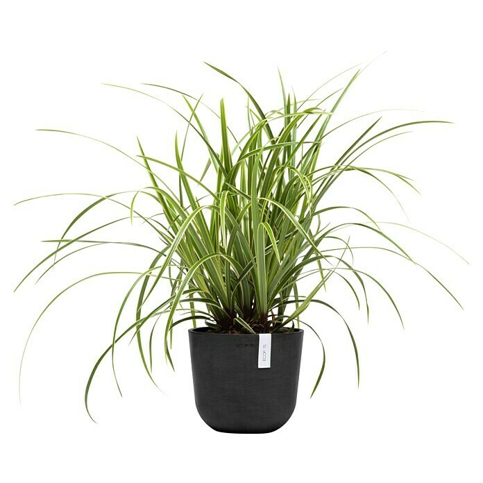 Ecopots Oslo Pflanztopf Mini (Außenmaß (Ø x H): 19 x 16,5 cm, Kunststoff, Dunkelgrau) | BAUHAUS