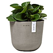 Ecopots Oslo Pflanztopf Mini (Außenmaß (Ø x H): 16 x 14 cm, Kunststoff, Braungrau) | BAUHAUS