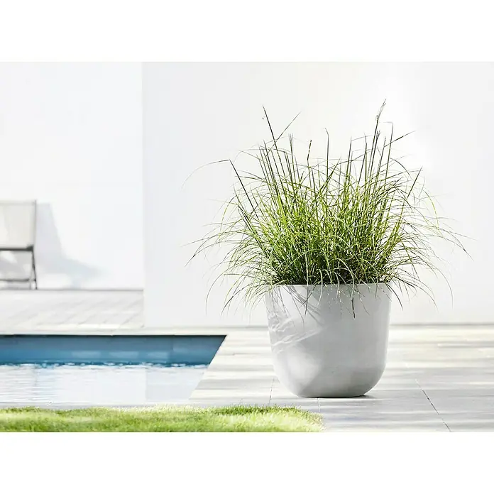 Ecopots Oslo Pflanztopf mit Wasserspeicher - Außenmaß (Ø x H): 45 x 39,4 cm, Kunststoff, Weißgrau - Ein Pflanzgefäß mit Ziergras. Das moderne Design des Topfes ergänzt das üppige Grün der Pflanze, ideal für stilvolle Außenbereiche.
