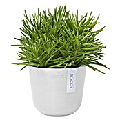 Ecopots Oslo Pflanztopf Mini (Außenmaß (Ø x H): 11,5 x 10 cm, Kunststoff, Weiß) | BAUHAUS