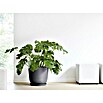 Ecopots Oslo Pflanztopf mit Wasserspeicher (Außenmaß (Ø x H): 45 x 39,4 cm, Kunststoff, Dunkelgrau) | BAUHAUS