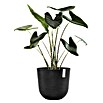 Ecopots Oslo Pflanztopf mit Wasserspeicher (Außenmaß (Ø x H): 45 x 39,4 cm, Kunststoff, Dunkelgrau) | BAUHAUS