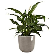 Ecopots Oslo Pflanztopf mit Wasserspeicher (Außenmaß (Ø x H): 45 x 39,2 cm, Kunststoff, Braungrau) | BAUHAUS